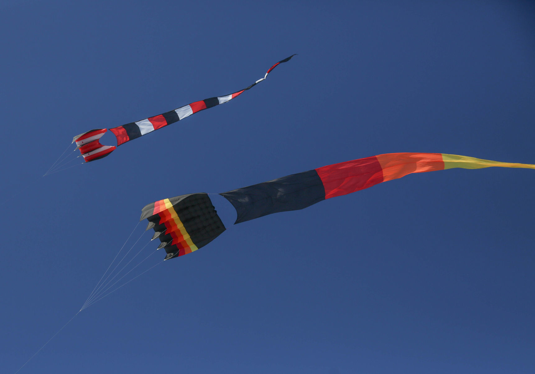 Color the Wind kite festival 02-15-2020 (42).jpg